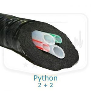 Python 2 + 2