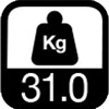 31 kg